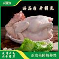 兴旺好湛江鸡